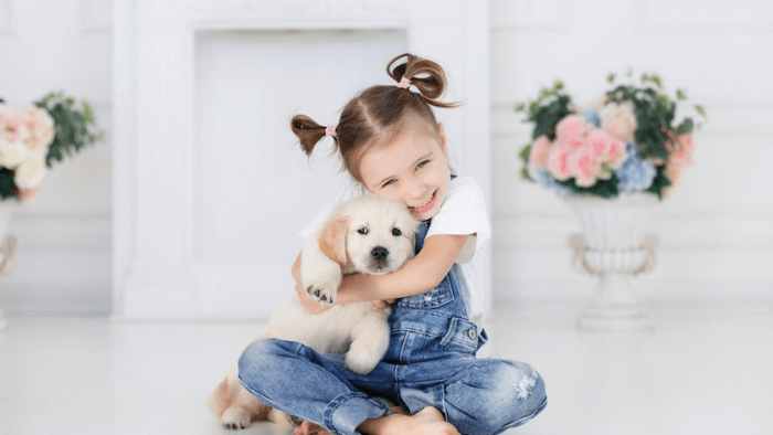 Thú cưng trong gia đình Việt